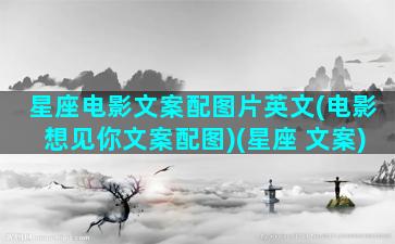 星座电影文案配图片英文(电影想见你文案配图)(星座 文案)